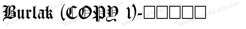 Burlak (COPY 1)字体转换